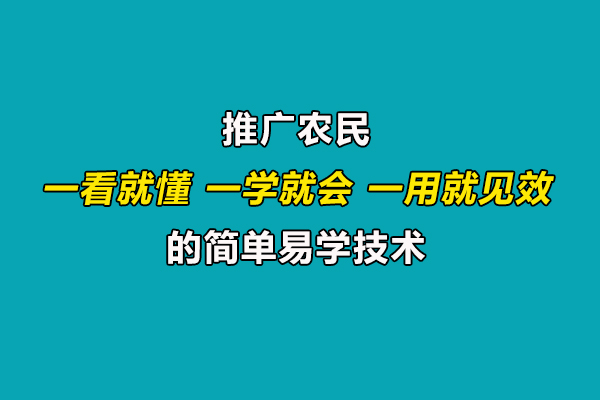 引導(dǎo)農(nóng)民合理施肥用藥,推廣一看就懂、一學(xué)就會(huì)、一用就見(jiàn)效的技術(shù)
